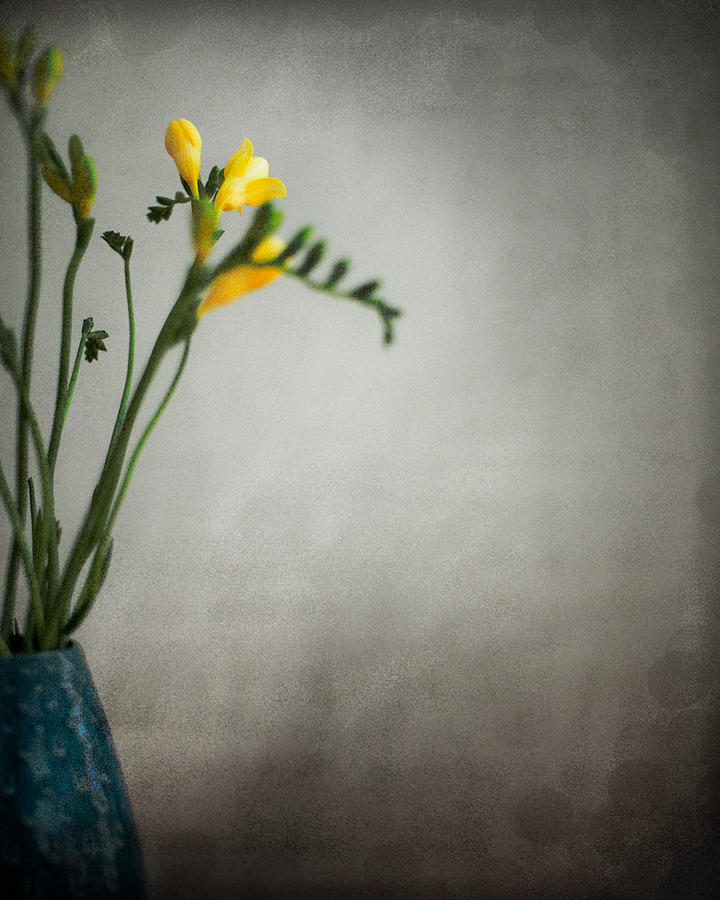 Flower Photograph - Yellow Flowers in a Blue Vase #2 by Kate Morton