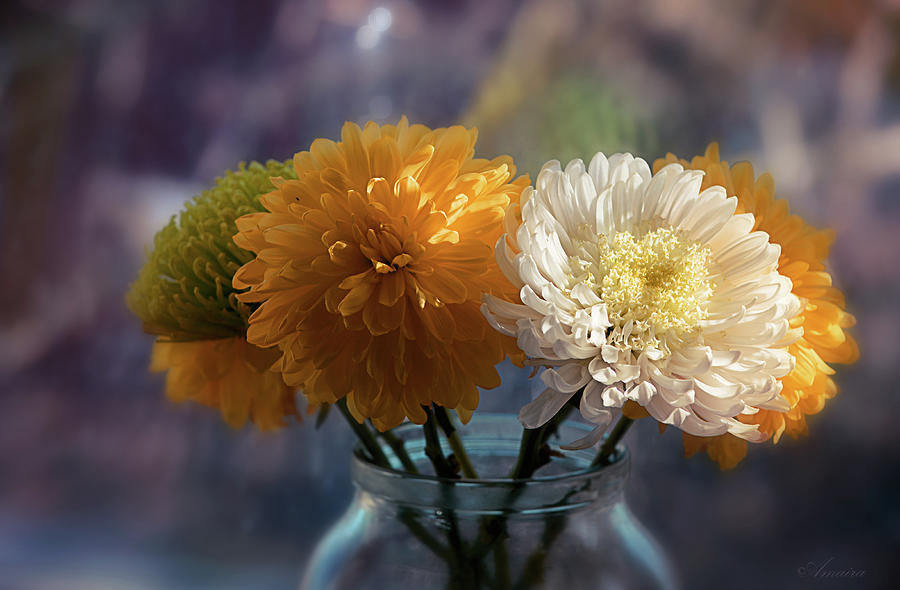 Yellow Flowers In A Glass Jar Photograph by Maria Angelica Maira