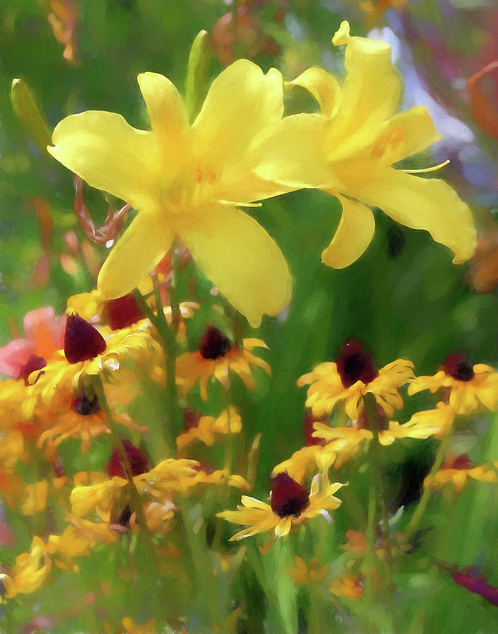 Yellow Flowers in Watercolor Photograph by John Freidenberg