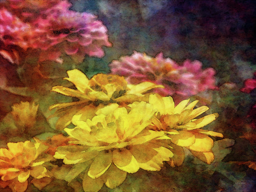 Yellow Flowers of Summer 1506 IDP_2 Photograph by Steven Ward
