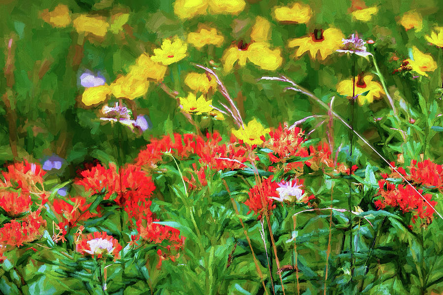 Yellow Flowers Red Flowers in the Blue Ridge AP Digital Art by Dan Carmichael