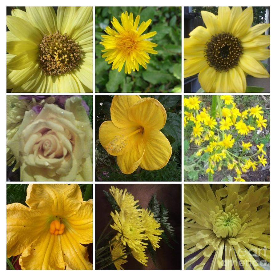 Yellow Flowers Photograph