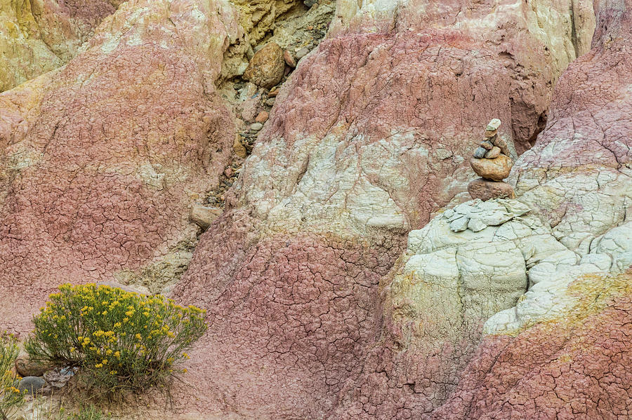Yellow Flowers - Texture And Stacked Balanced Rocks Photograph