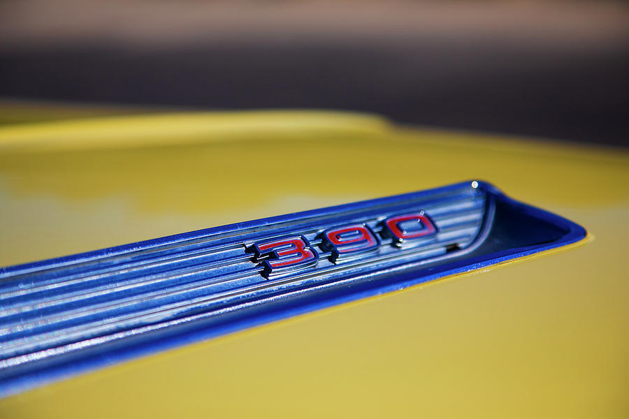 Yellow Ford  Photograph by Steve Gravano