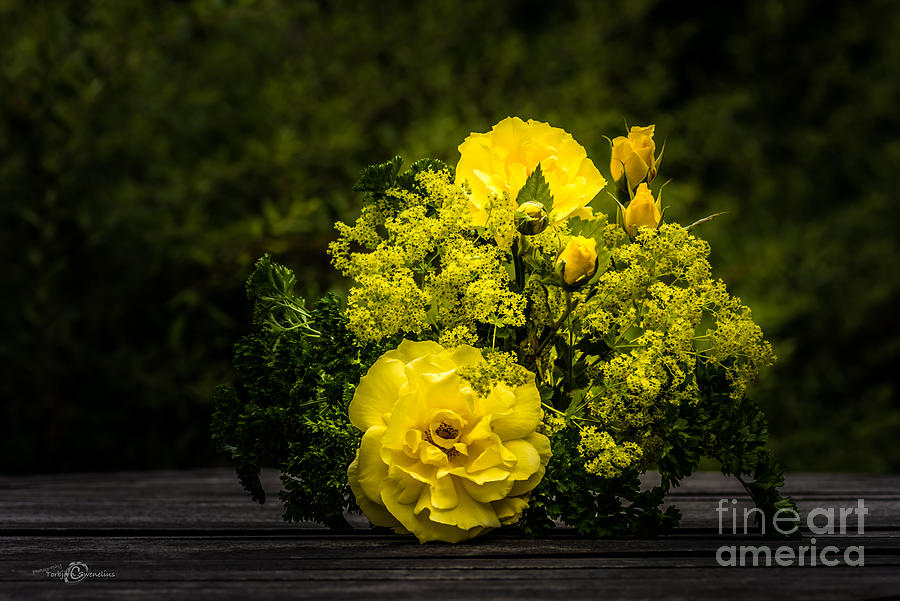 Yellow fragrance Photograph by Torbjorn Swenelius