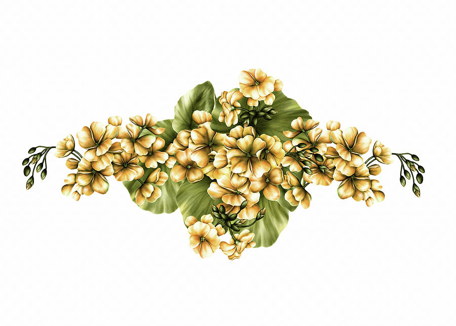 Geraniums Digital Art - Yellow Geraniums On White by Georgiana Romanovna