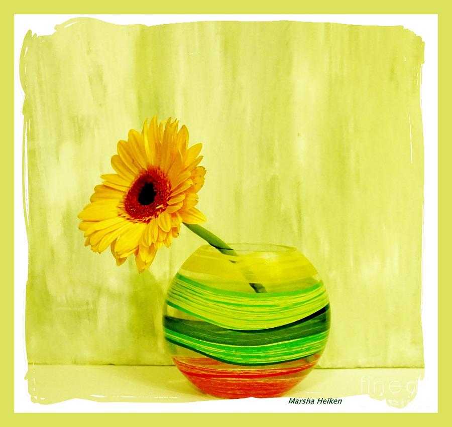 Yellow Gerber Matching Vase Photograph by Marsha Heiken