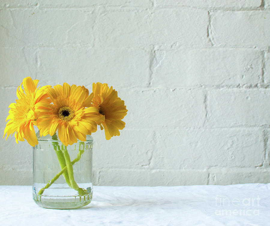 Gerberas Photograph - Yellow gerberas in glass jar by Natalie Board Gerberas Photograph - Yellow gerberas in glass jar by Natalie Board
