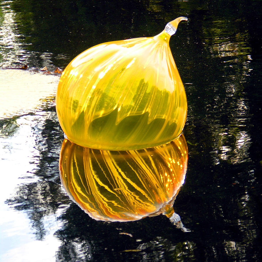 Yellow Glass on the Pond Photograph by John Lautermilch