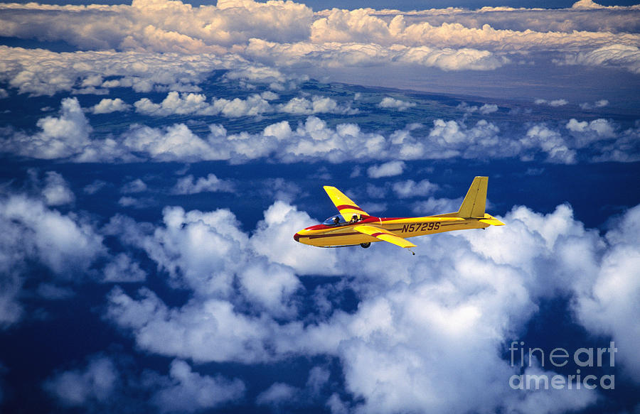 Yellow Glider Photograph by Ray Mains - Printscapes