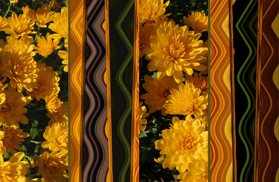 Yellow Gold Mums Abstract - Photographic Flower Art - Chrysanthemums Photograph by Brooks Garten Hauschild