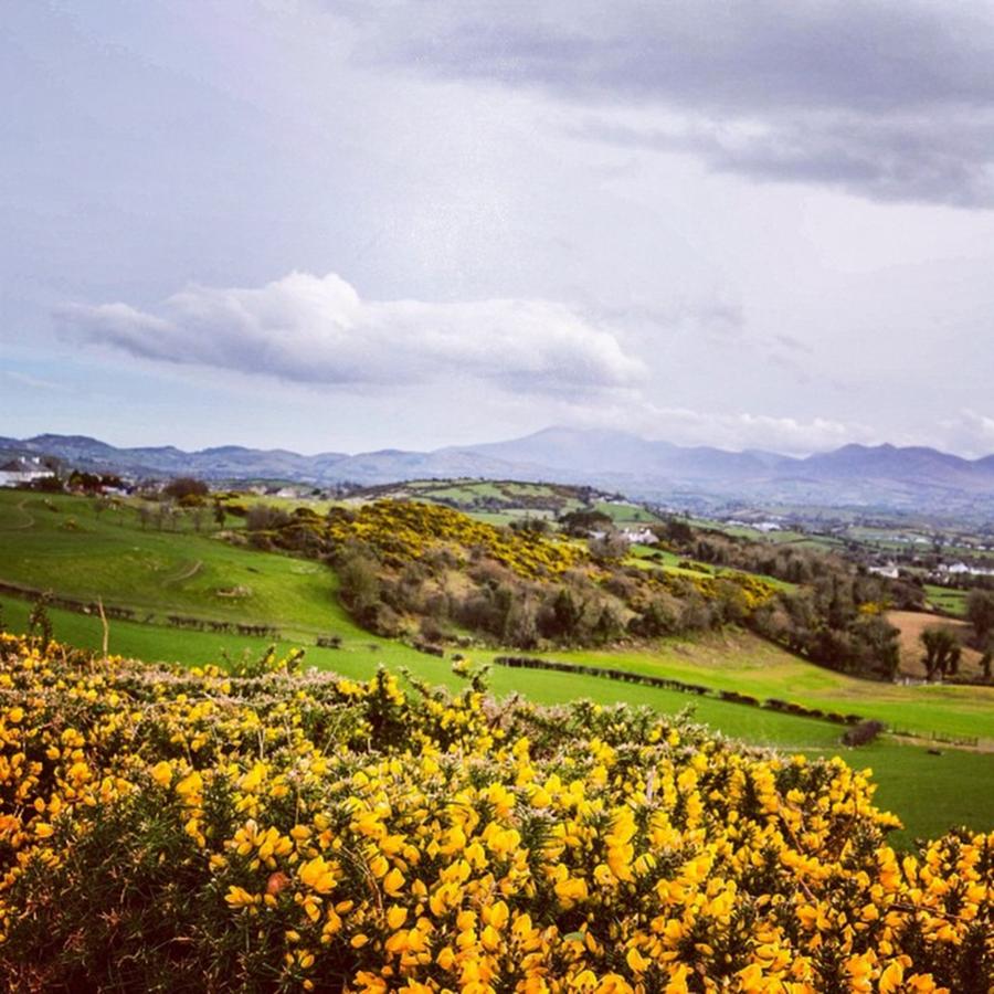 Blue Photograph - Yellow, Green & Blue by Aleck Cartwright Blue Photograph - Yellow, Green & Blue by Aleck Cartwright