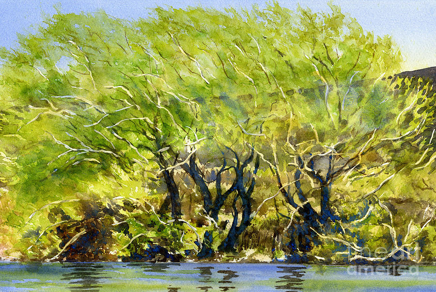 Landscape Painting - Yellow Green Willow Trees by Sharon Freeman