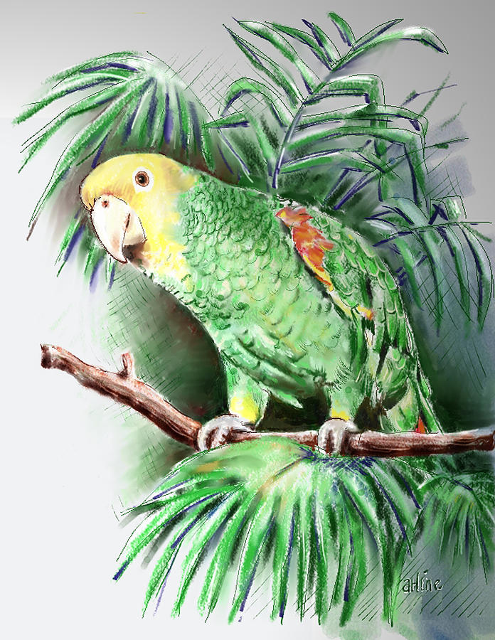 Yellow-headed Amazon Parrot Digital Art by Arline Wagner