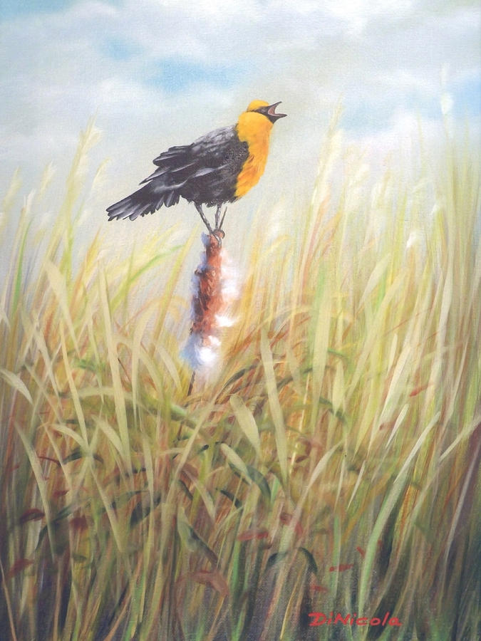 Yellow Headed Blackbird Painting by Anthony DiNicola