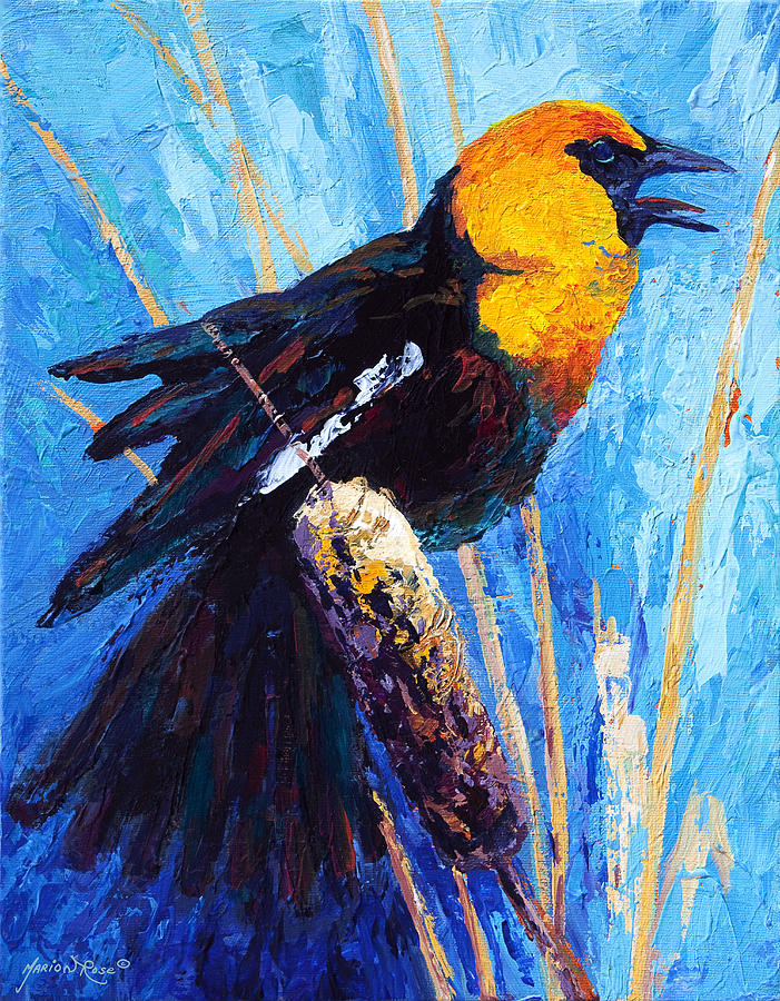 Yellow Headed Blackbird Painting by Marion Rose