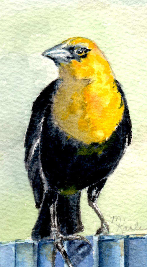 Yellow-headed Blackbird Painting by Marsha Karle