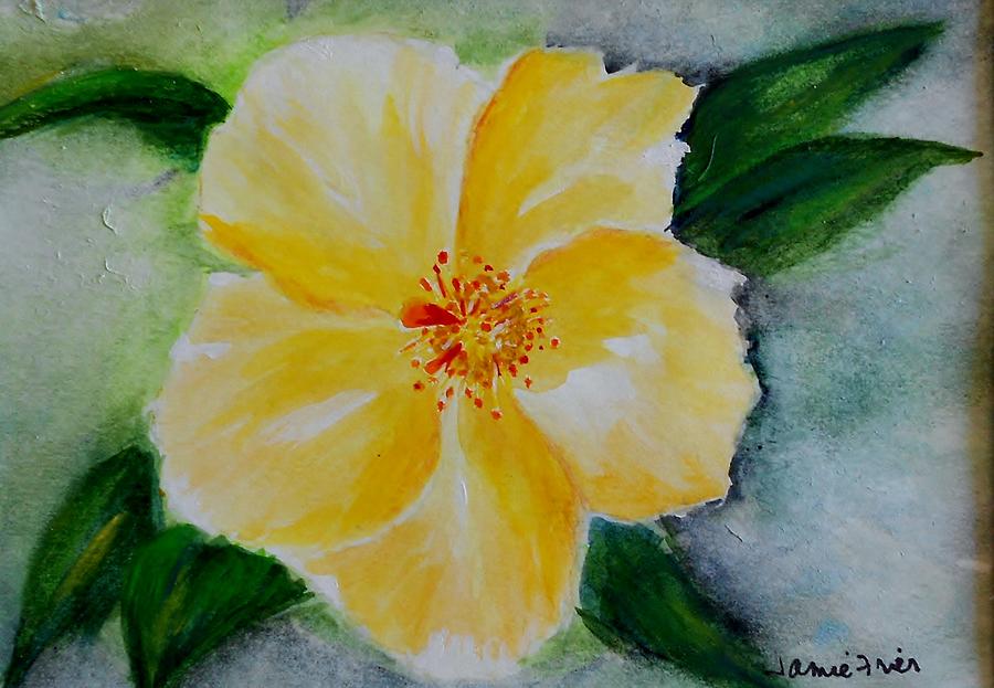 Yellow Hibiscus Painting by Jamie Frier