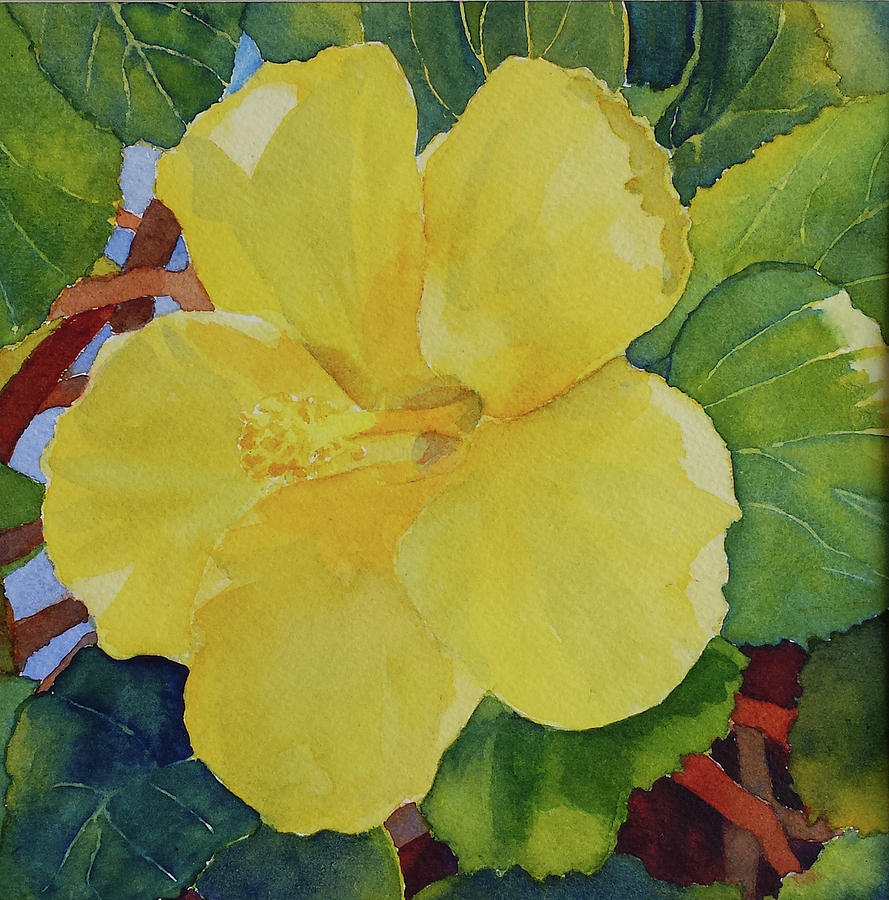 Yellow Hibiscus Painting by Judy Mercer