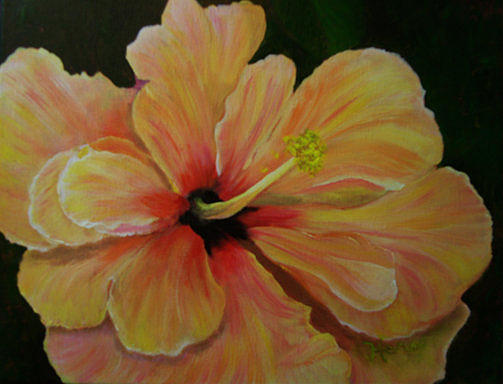 Yellow Hibiscus by Marcia Hero Yellow Hibiscus by Marcia Hero