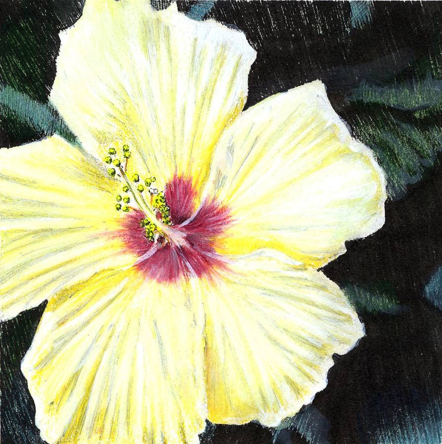 Yellow Hibiscus Painting by Thomas Hamm