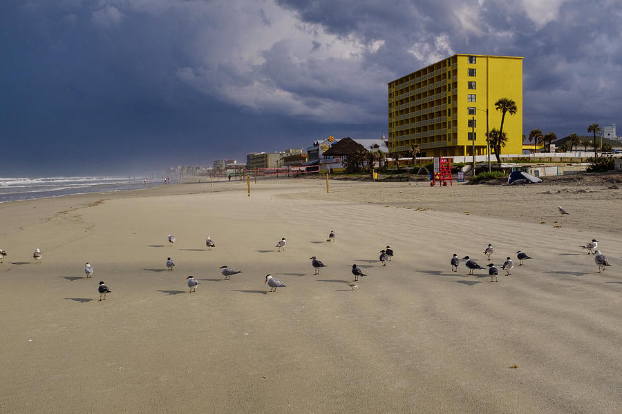 Yellow Hotel Blue Sky And Birds On Daytona Beach Florida by John McLenaghan Yellow Hotel Blue Sky And Birds On Daytona Beach Florida by John McLenaghan