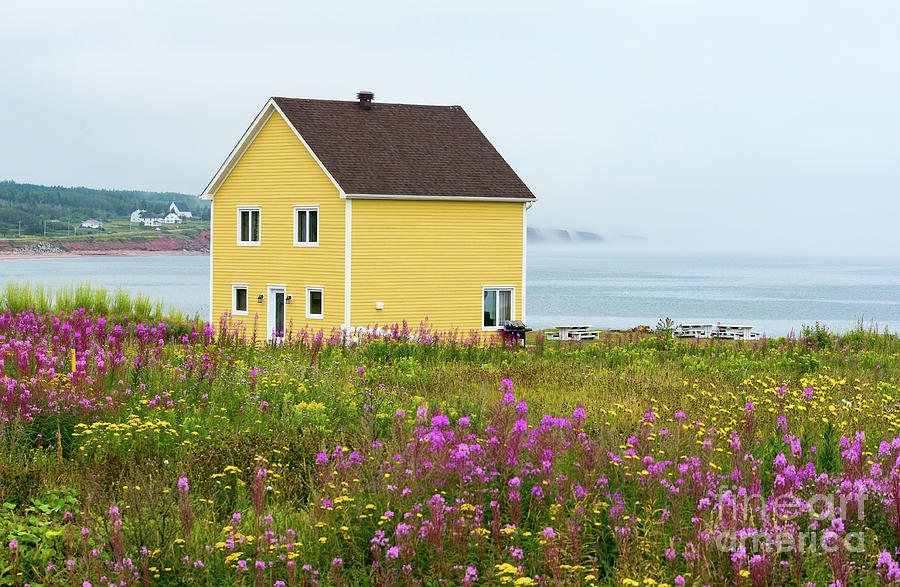 Yellow House and Fireweed Flowers Photograph by Les Palenik