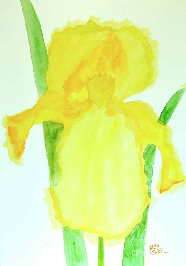 Yellow Iris   Painting by Barrie Stark