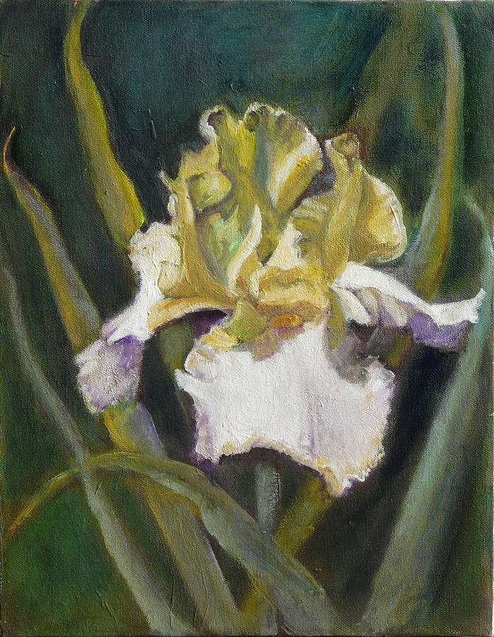 Yellow Iris Painting by Gloria Smith