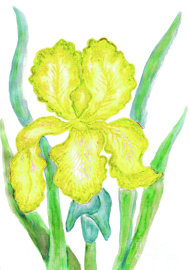 Yellow iris Painting by Irina Afonskaya
