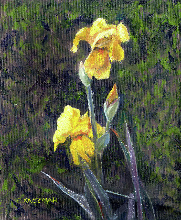 Yellow Iris Painting by Olga Kaczmar