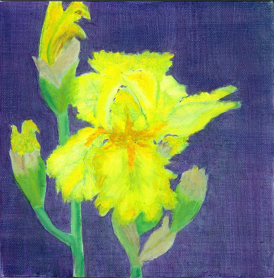 Yellow Iris Painting by Paula Emery