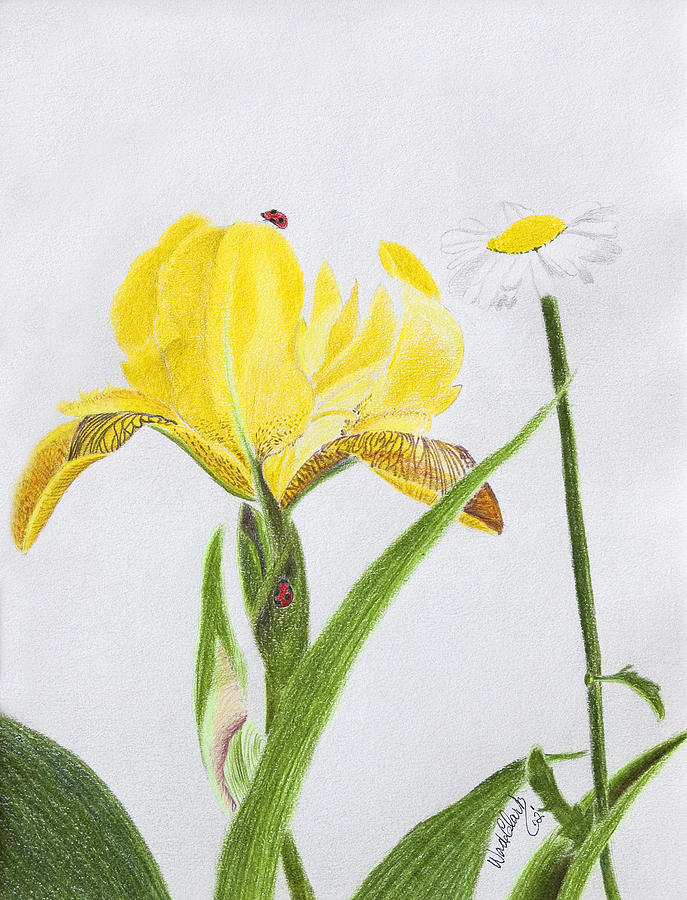 Yellow iris Painting by Wade Clark