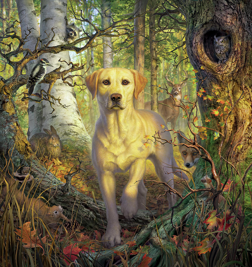 Labrador Digital Art - Yellow Lab in Fall by Mark Fredrickson
