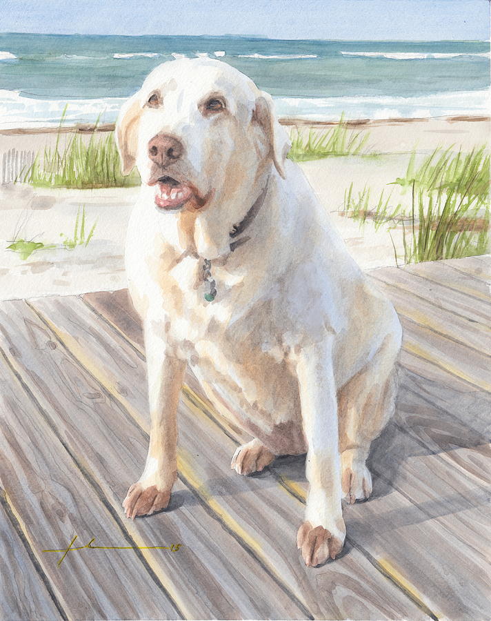 Yellow Lab On Boardwalk Drawing by Mike Theuer Yellow Lab On Boardwalk Drawing by Mike Theuer