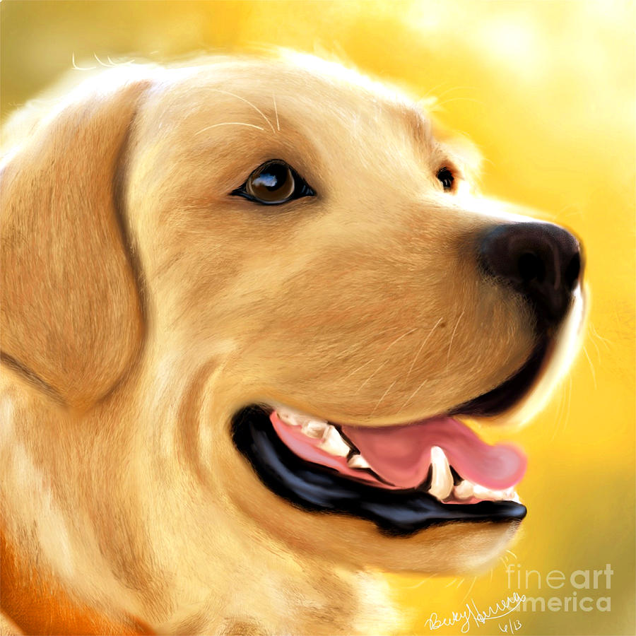 Yellow Lab Portrait Painting by Becky Herrera