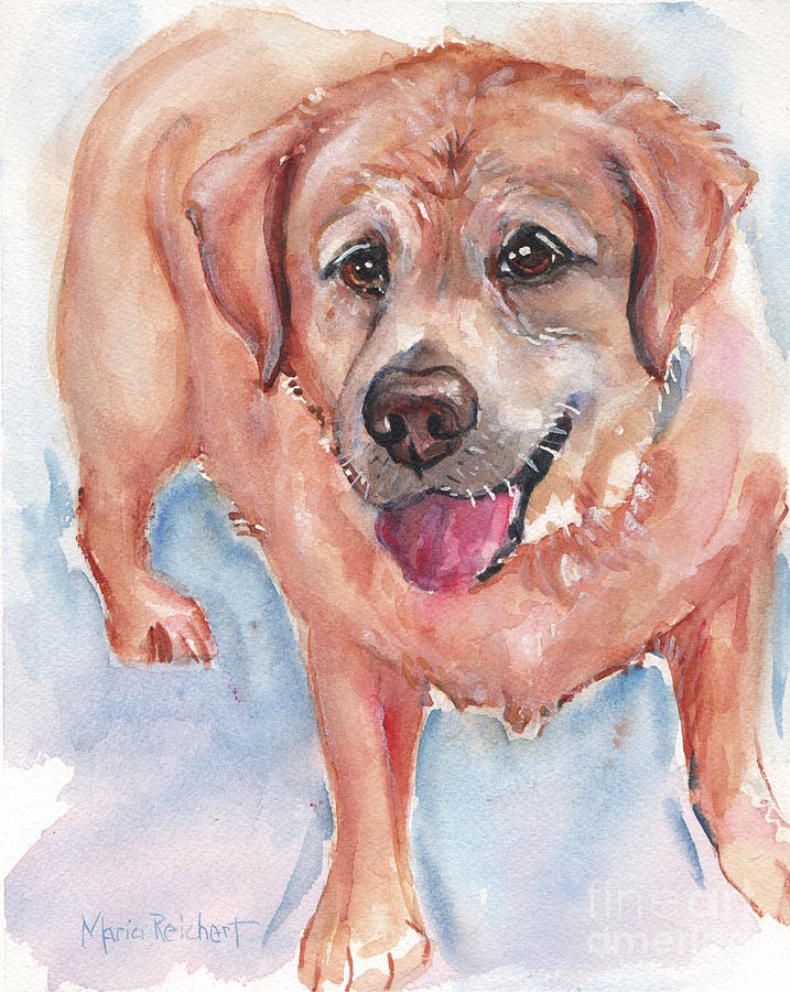 Yellow Labrador Watercolor Painting Painting by Maria Reichert