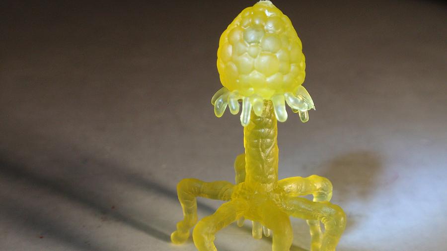Fruit Digital Art - Yellow Lantern Corps by Super Lovely