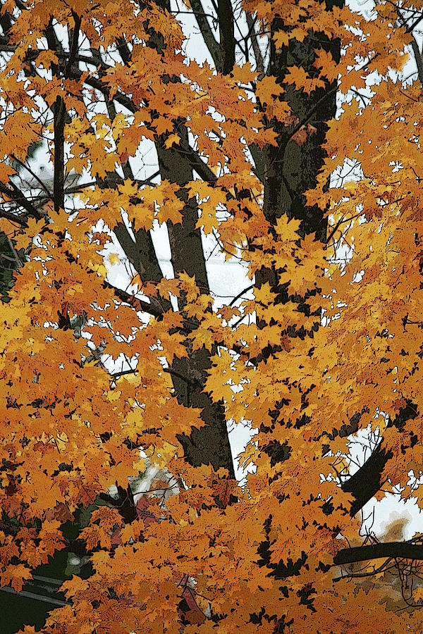 Autumn - altered Photograph by Aggy Duveen