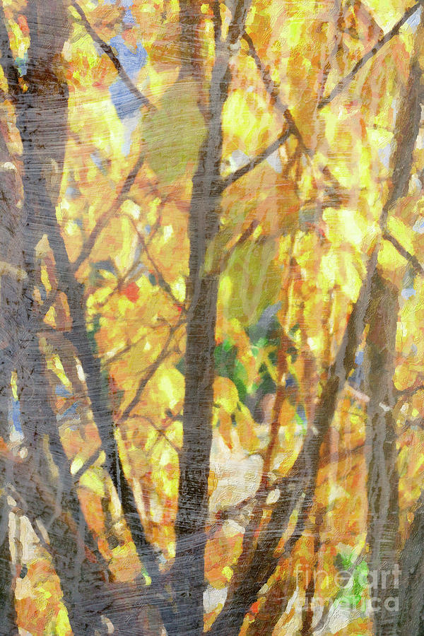 Yellow Leaves Wash Digital Art by Donna L Munro