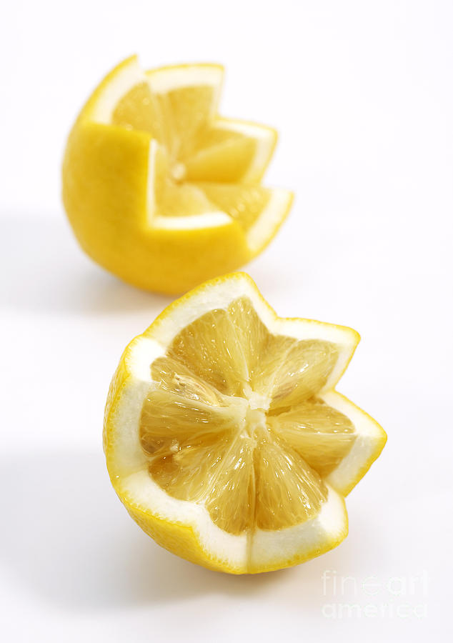 Yellow Lemon Citrus X Limon Photograph by Gerard Lacz