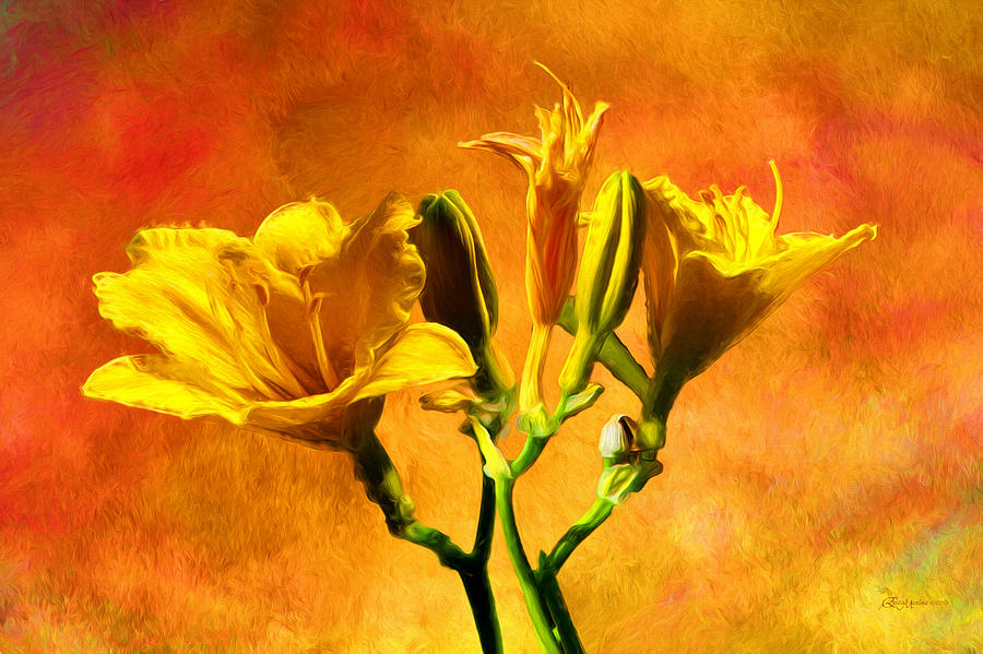 Flower Photograph - Yellow Lilies by Ericamaxine Price