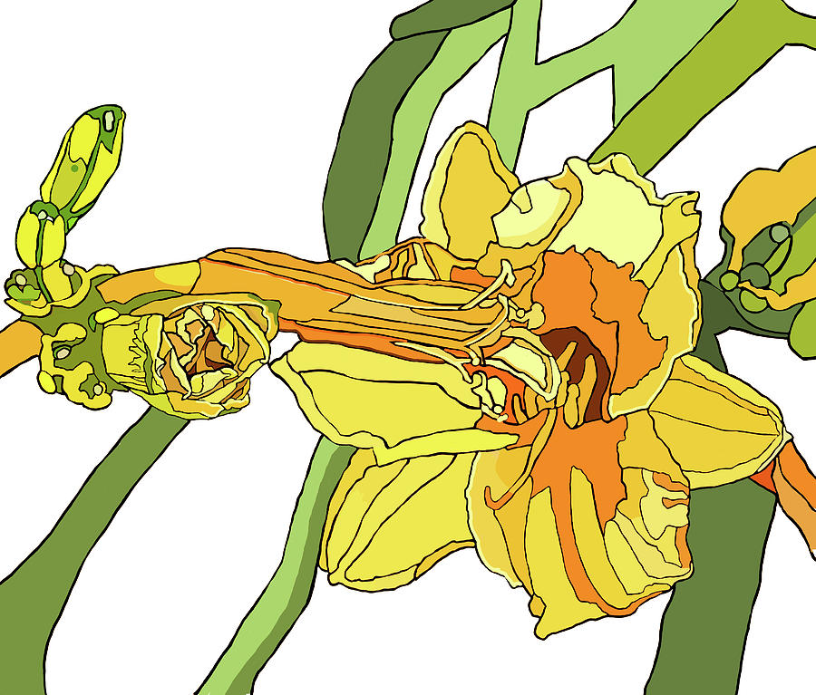 Yellow Lily and Bud, Graphic Painting by Jamie Downs