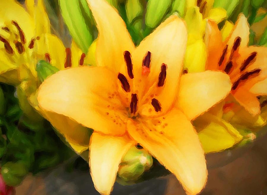 Lily Painting - Yellow Lily by Michael Thomas