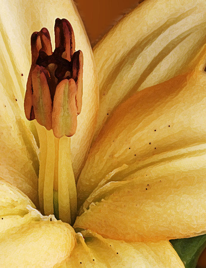 Easter Photograph - Yellow Lily by Tony Ramos