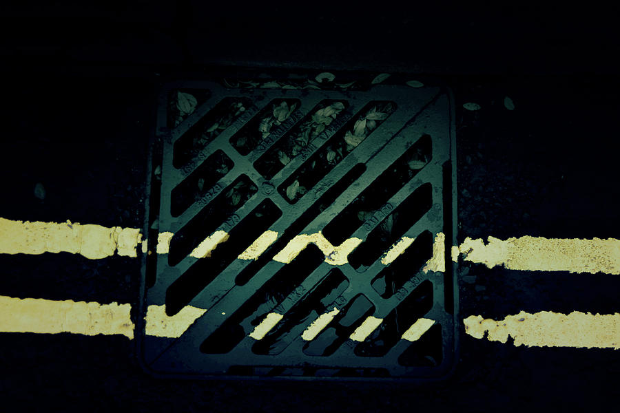 Yellow Lines Photograph by Tinto Designs