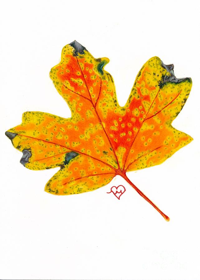 Yellow Maple by Becky Eileen Eller Yellow Maple by Becky Eileen Eller