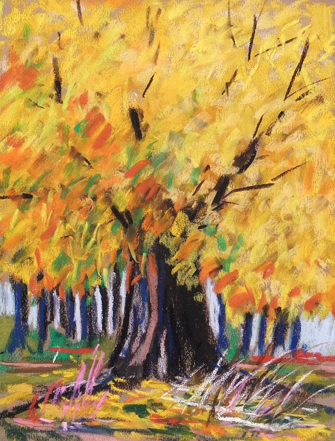 Yellow Maple Wet Trunk Painting by John Williams