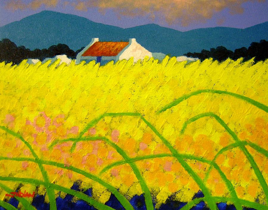 yellow Meadow Ireland Painting by John  Nolan