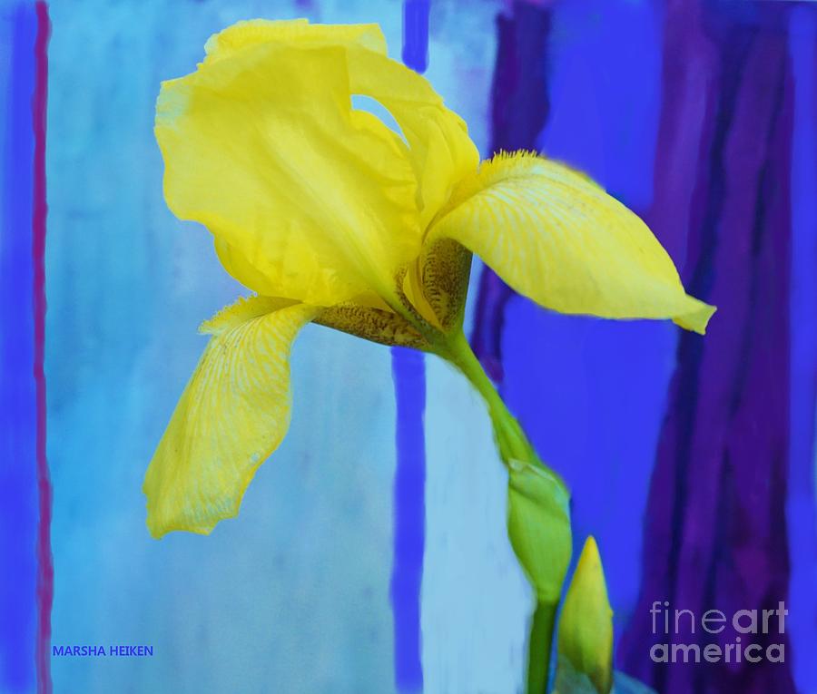 Yellow Mod Iris Mixed Media by Marsha Heiken